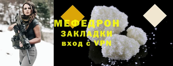 индика Пестово