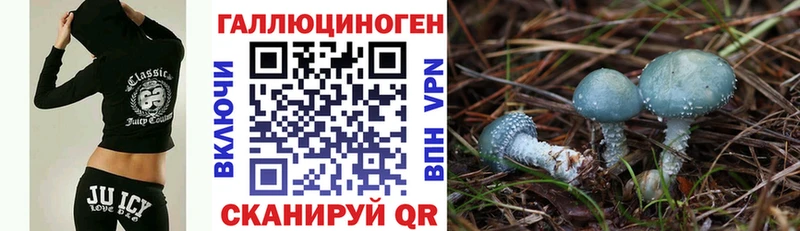 Псилоцибиновые грибы прущие грибы  где купить наркоту  Мантурово 